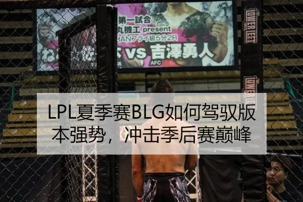 LPL夏季赛BLG如何驾驭版本强势，冲击季后赛巅峰