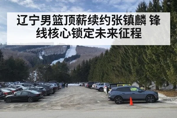辽宁男篮顶薪续约张镇麟 锋线核心锁定未来征程