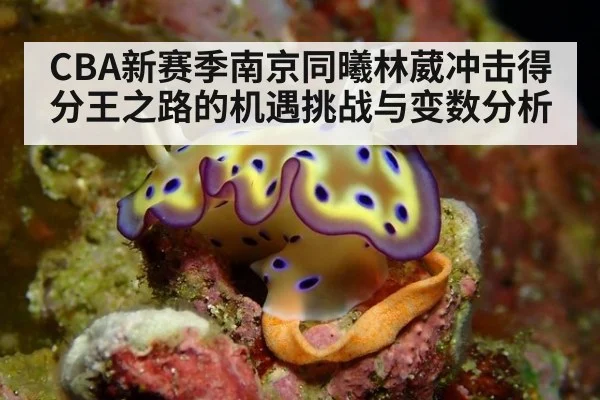 CBA新赛季南京同曦林葳冲击得分王之路的机遇挑战与变数分析